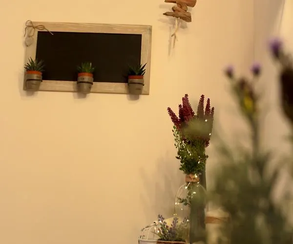 Deshome Guest house 3*